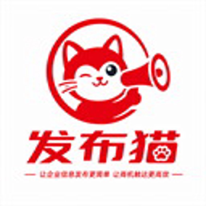 公司注册代办服务：新手与专业人士的双面镜像